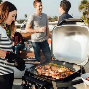 Weber-Pulse_Hero Weber Rapidfire Compact Chimney Starter