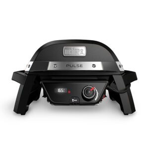 Weber Pulse 1000