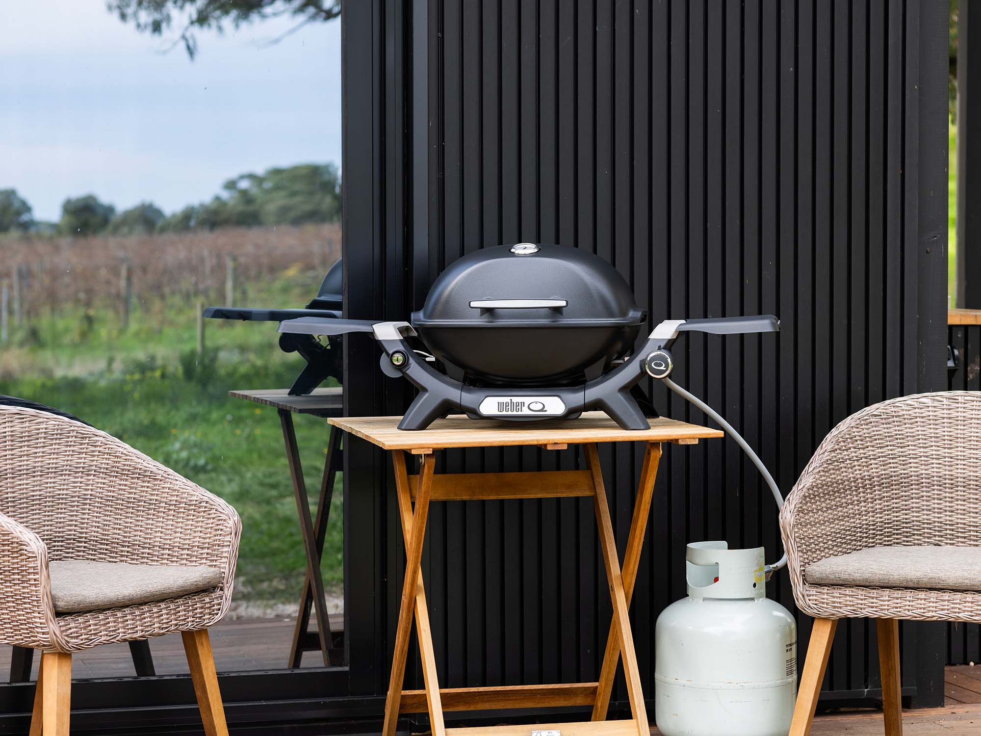 Weber Baby Q Series