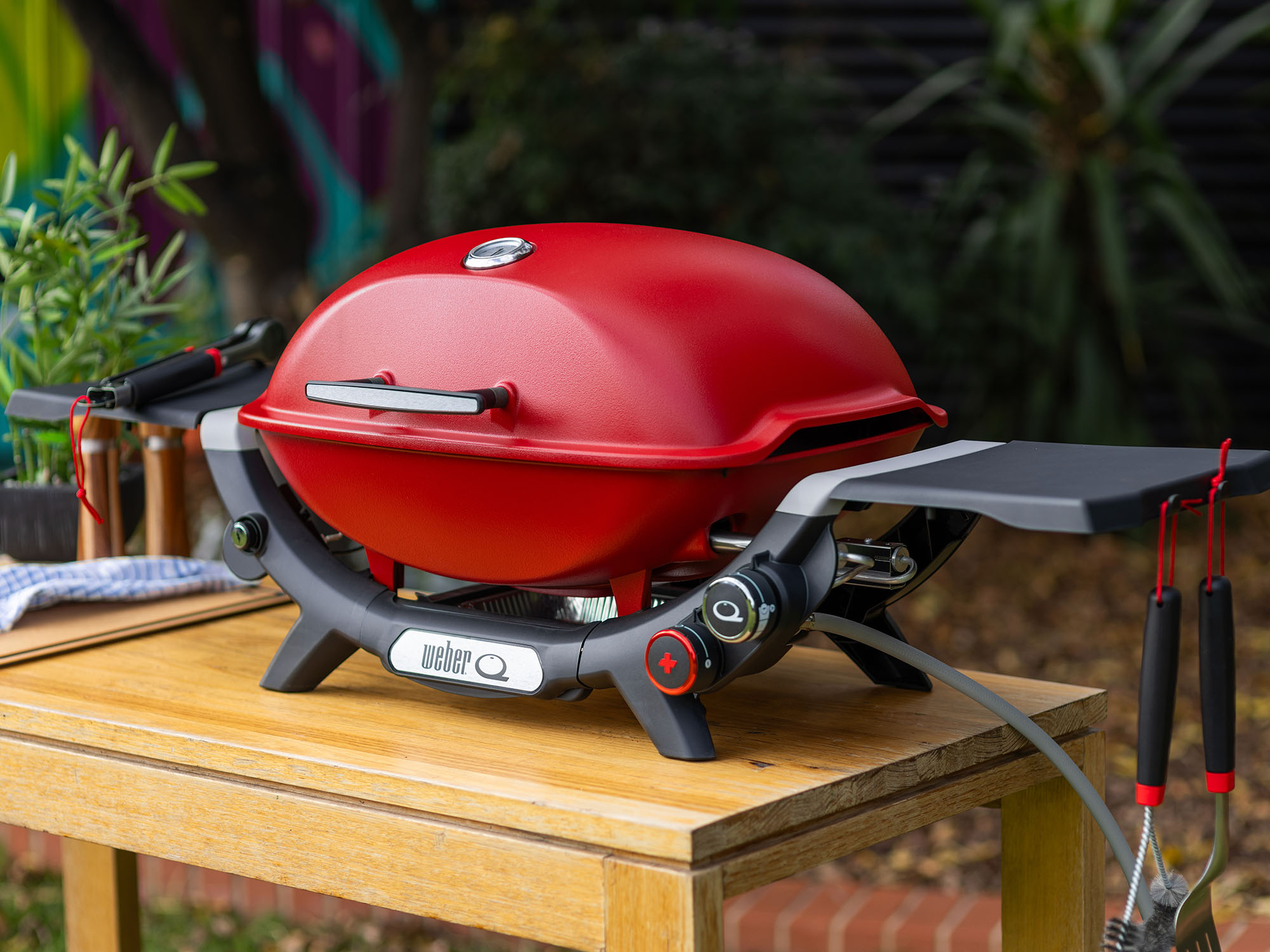 Weber Q Series Barbecues