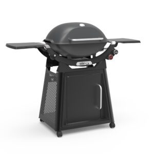 Family Q3200N+ Dark Grey LPG BBQ [Call to Purchase > $899]