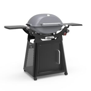 Family Q3200N+ Light Grey LPG BBQ [Call to Purchase > $899]