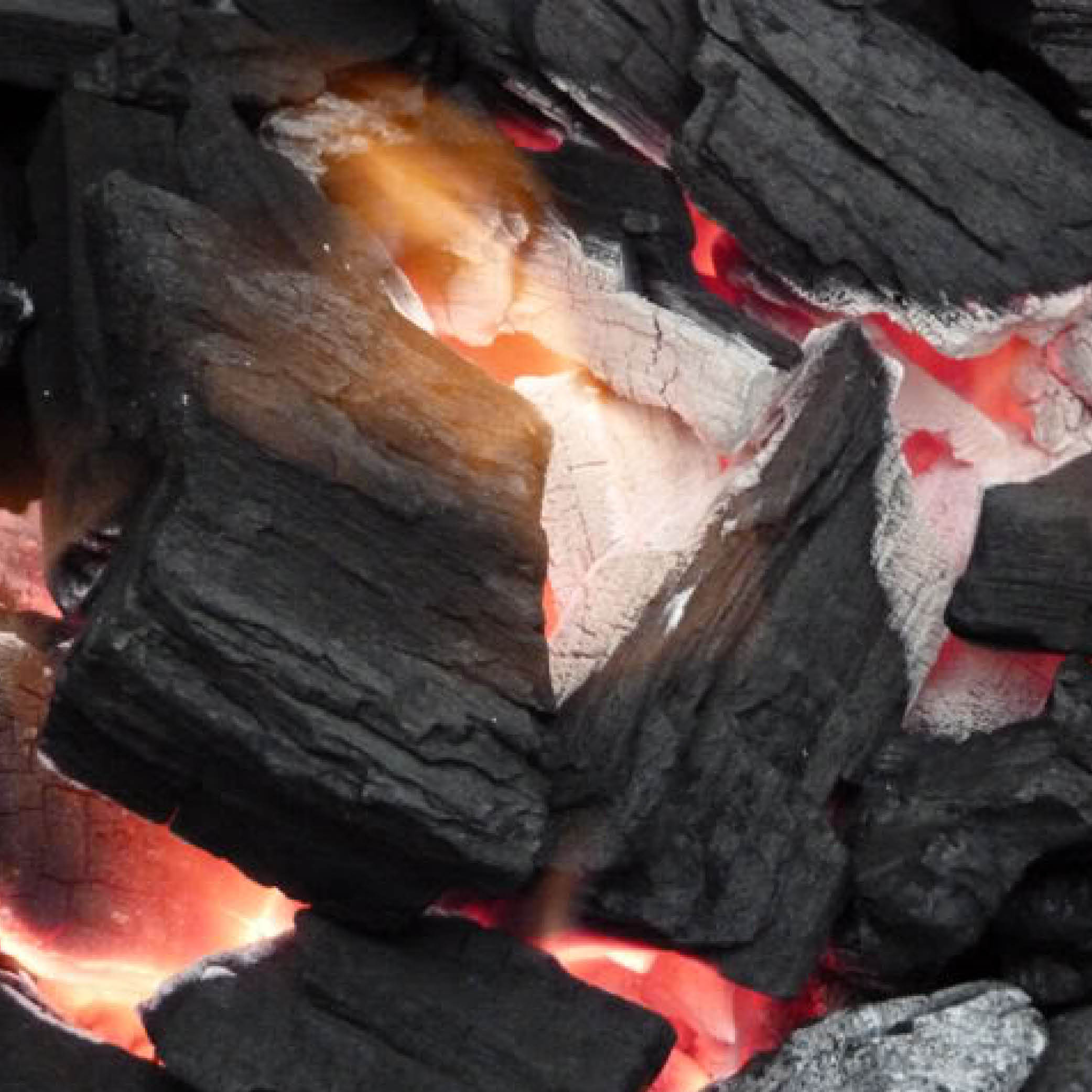 20kg Australian Gidgee Chunk Charcoal BBQs Plus