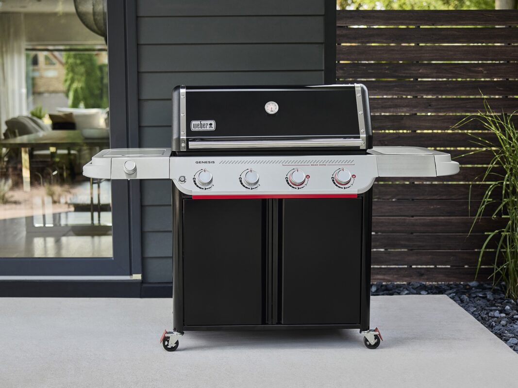 Weber Genesis Series