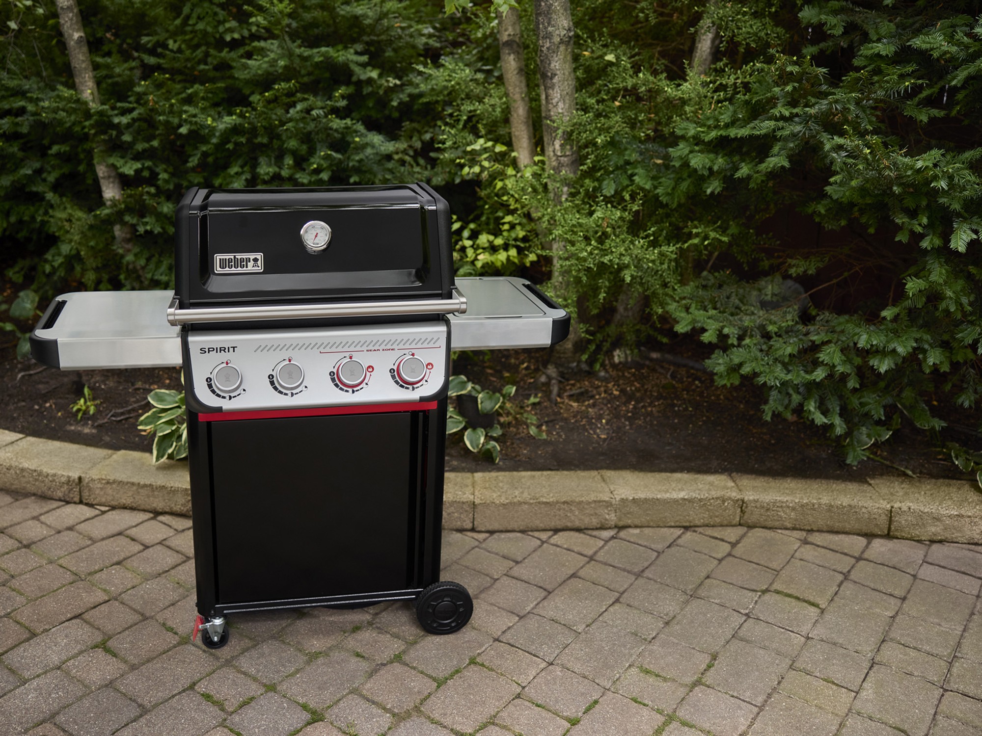 Weber Genesis Series