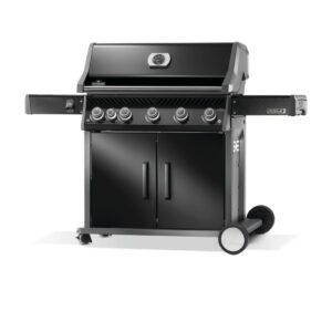 Napoleon Rogue® PRO 625 SIB 5 Burner NG BBQ with Infrared Side Burner